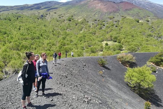 Tour image 3
