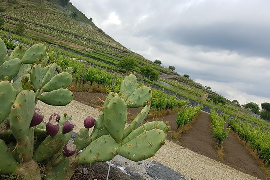 Tour image 1