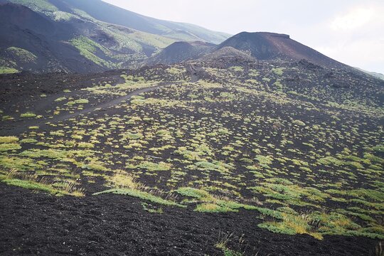 Tour image 12